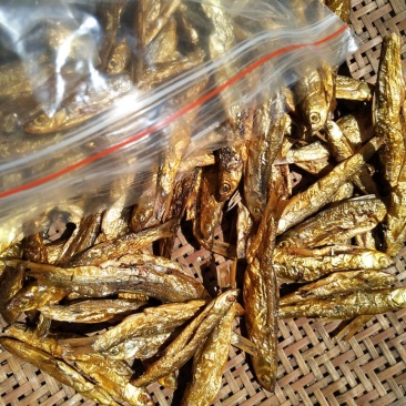 火焙鱼稻谷香味