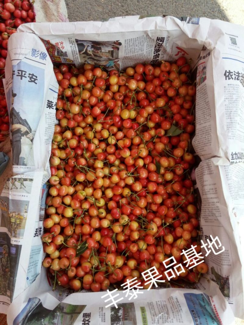 黄蜜樱桃