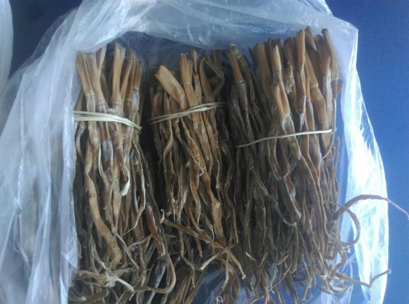 笋干淡笋干