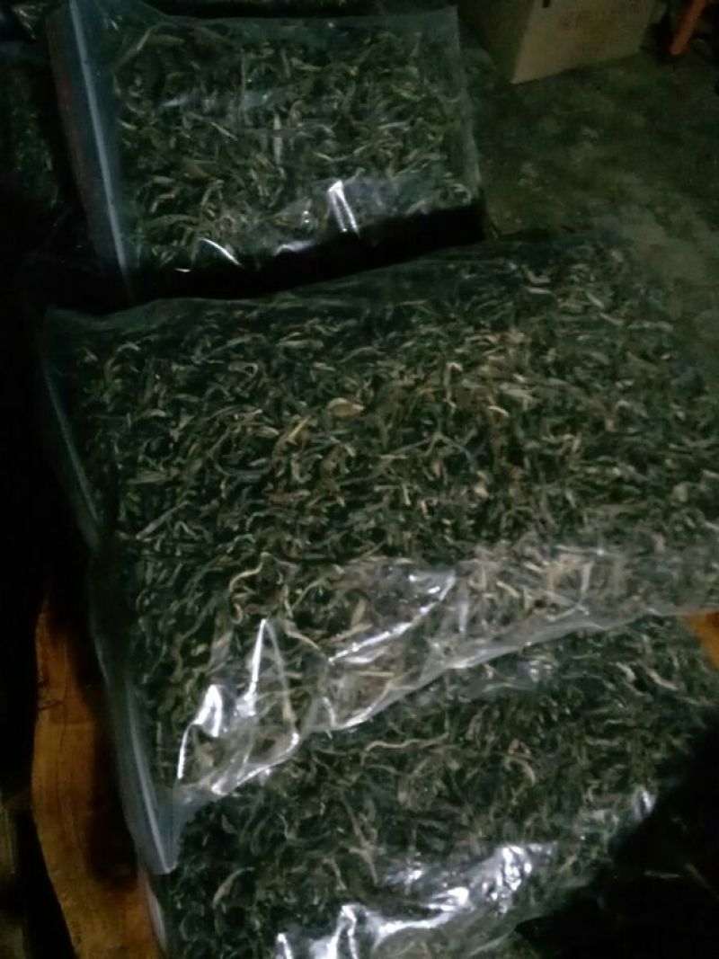 普洱茶一级