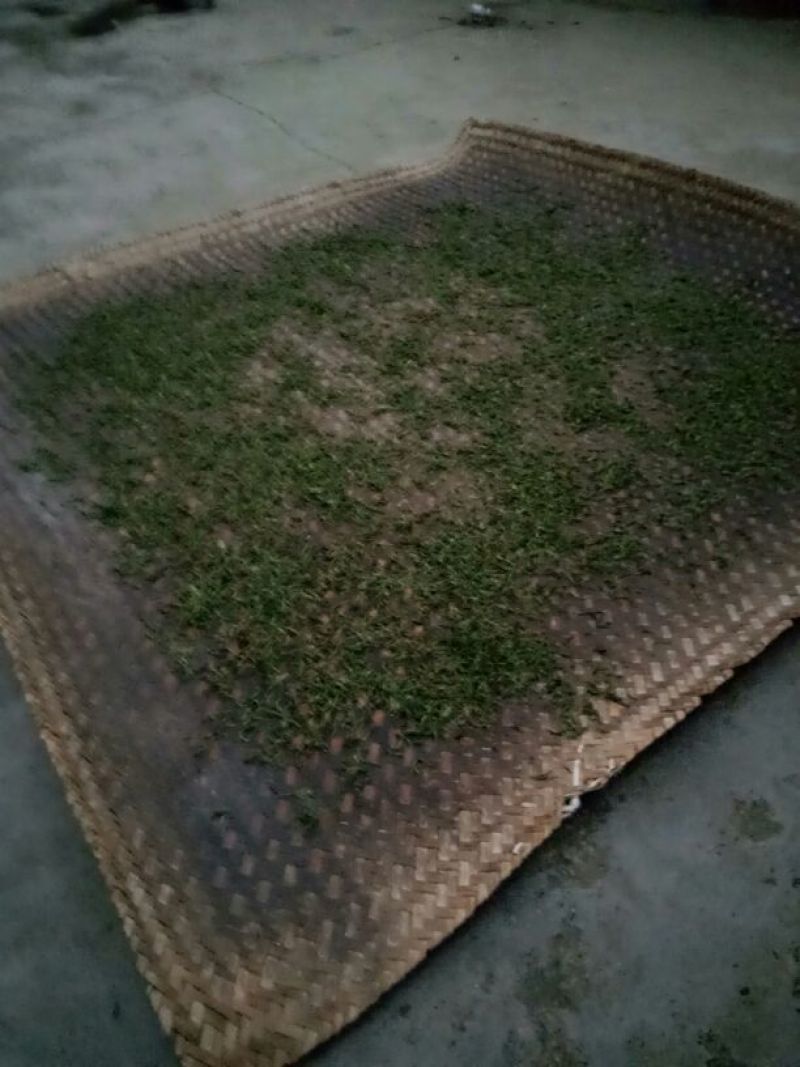 普洱茶一级