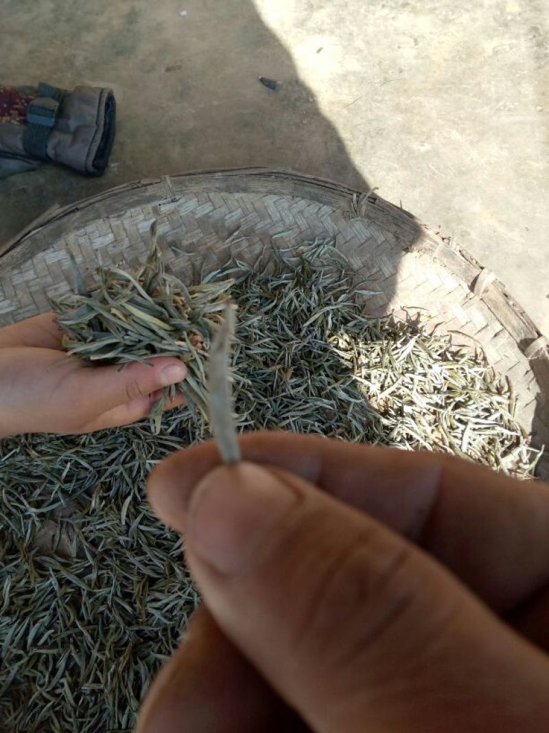 普洱茶一级
