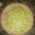 普洱茶一级