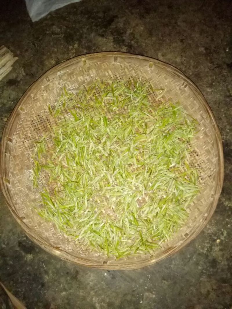 普洱茶一级