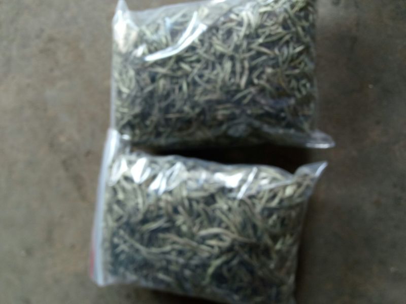 普洱茶一级