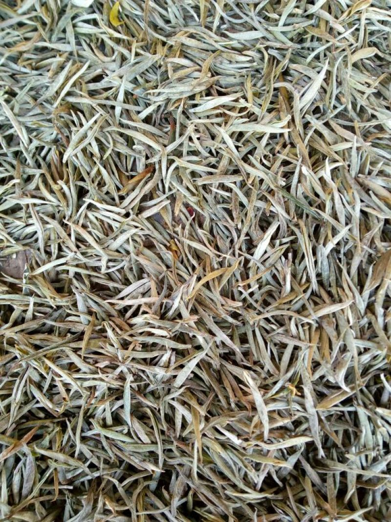 普洱茶一级