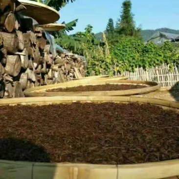 普洱茶特级