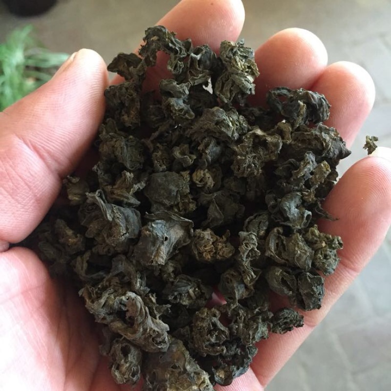 地皮菜，甘肃地皮菜质量就是好，欢迎各位老板下单