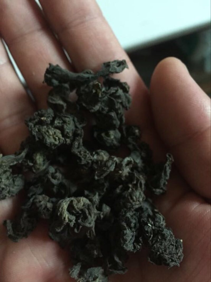 地皮菜，甘肃地皮菜质量就是好，欢迎各位老板下单