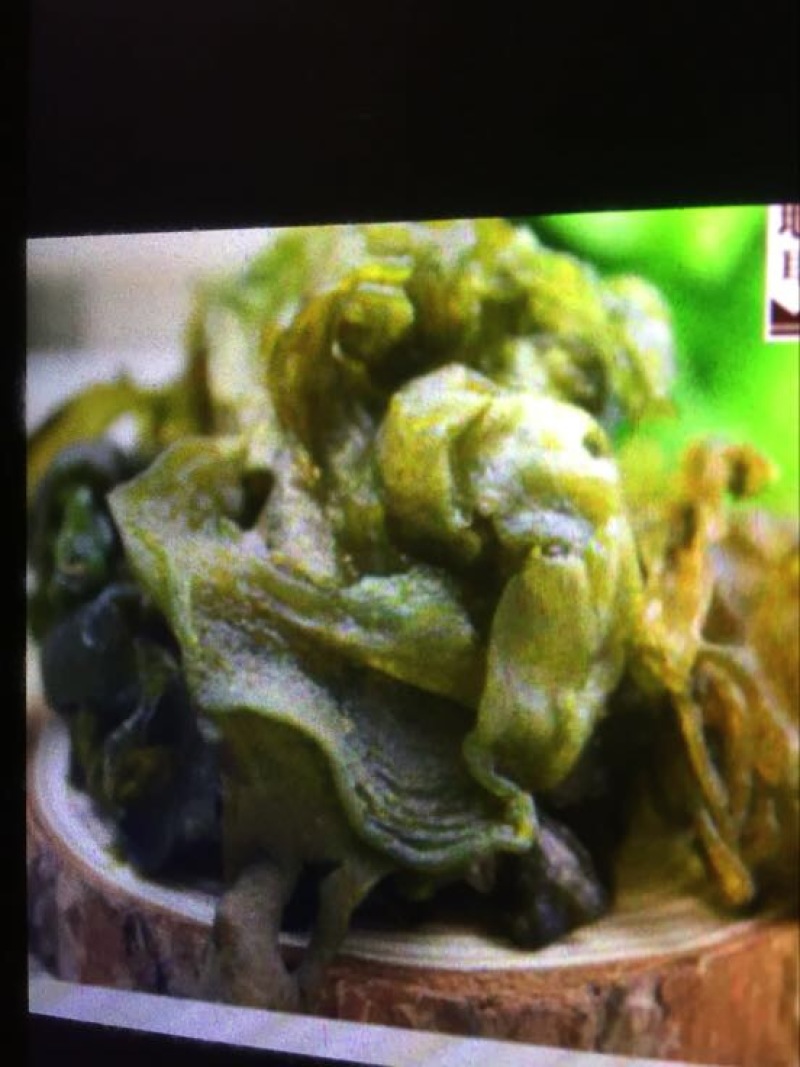 地皮菜，甘肃地皮菜质量就是好，欢迎各位老板下单