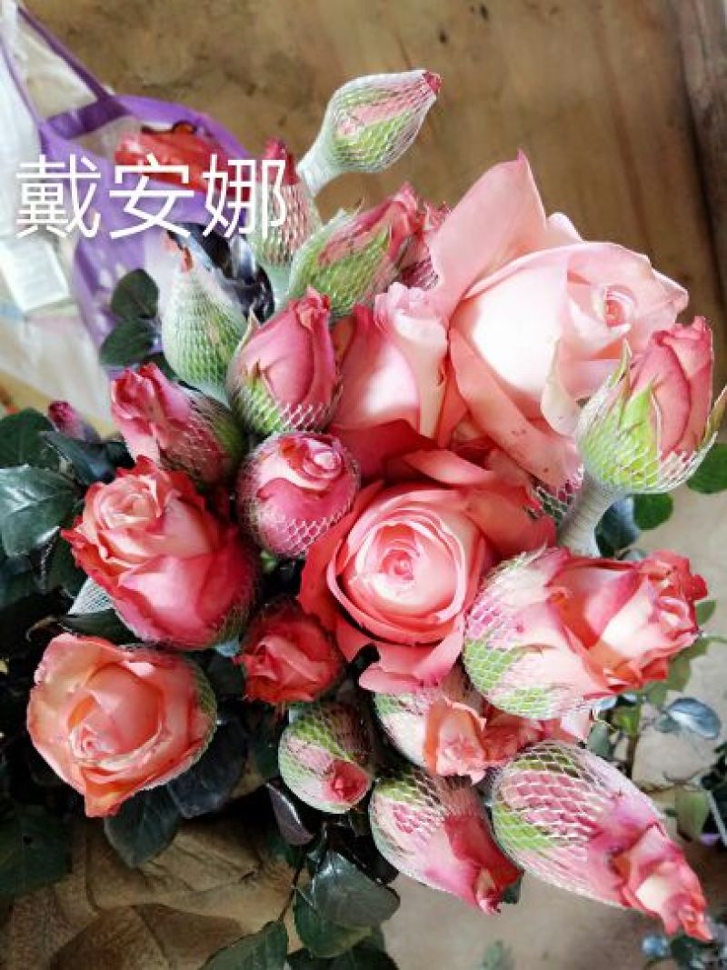 【假一赔十】云南玫瑰鲜花、鲜切花批发，新鲜直达，全国发货