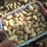 荷兰十五土豆2两以上通货