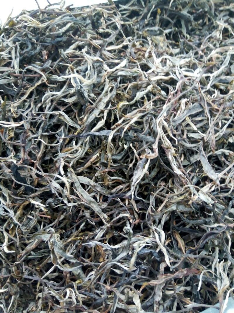 古树茶一级