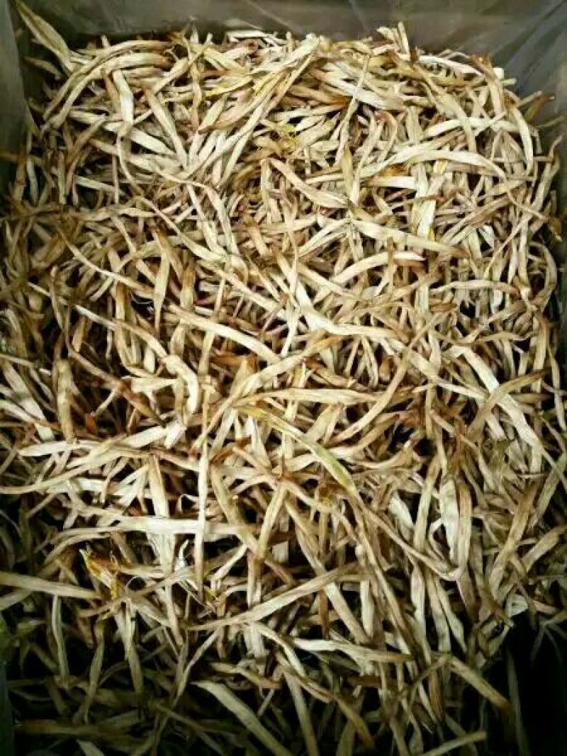 产地直销干黄花菜，大同