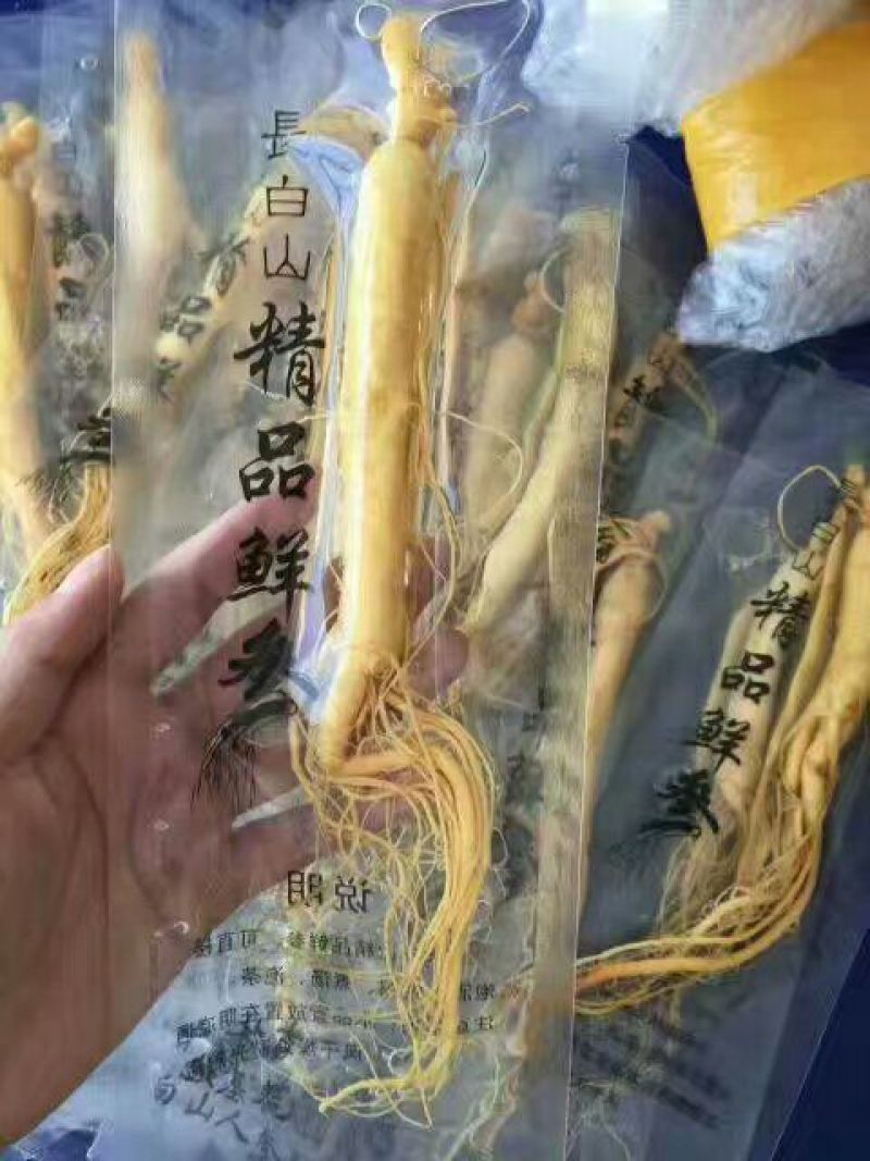 人参鲜