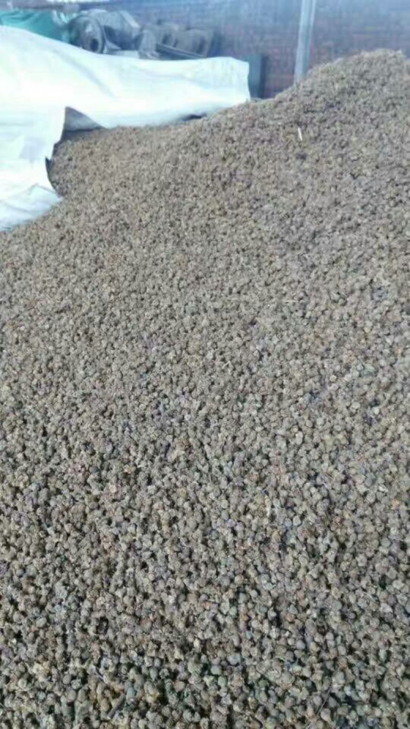 覆盆子
