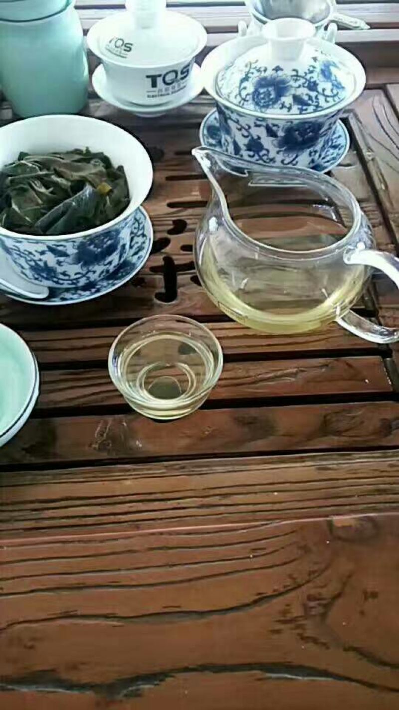 百年大树茶特级
