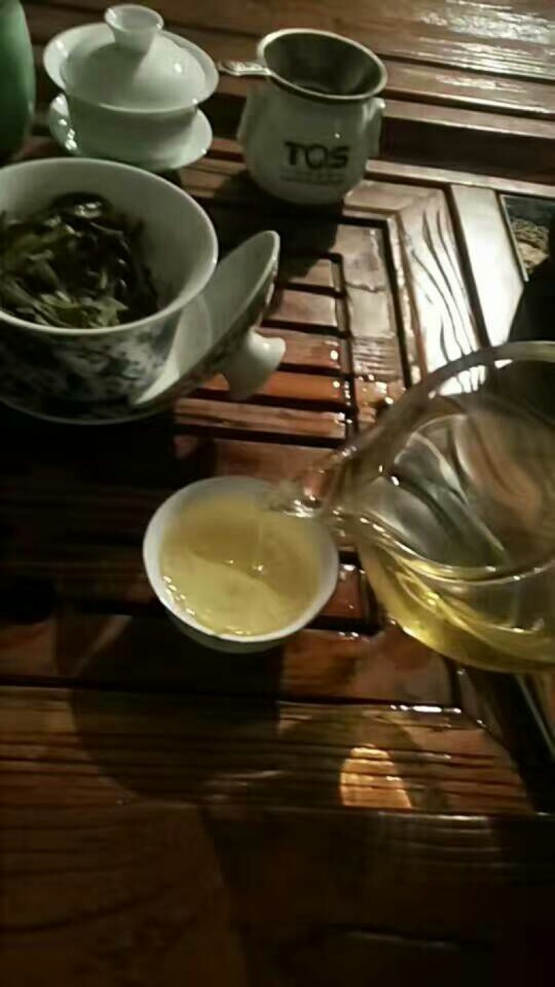 百年大树茶特级