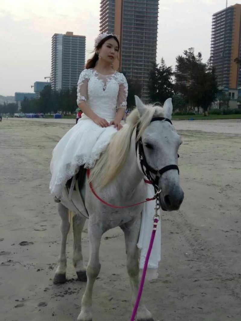 半血马400~500kg