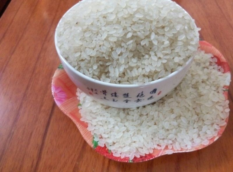 长阴米