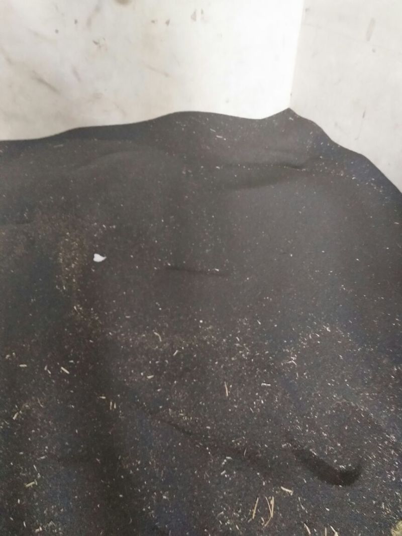 菜籽1货品保证，水分干，无杂物，颗粒饱满。系列