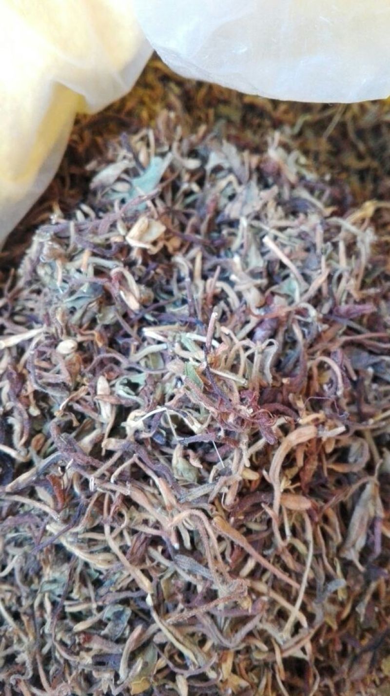 野金银花，自然生长，入药泡茶**，无任何添加。