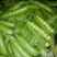 基地直供【豌豆荚】量大从优诚信经营质量保证