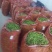 基地直供【豌豆荚】量大从优诚信经营质量保证