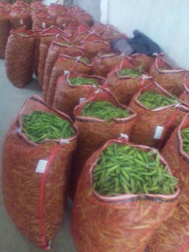 基地直供【豌豆荚】量大从优诚信经营质量保证