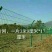 荷兰网50*50mm
