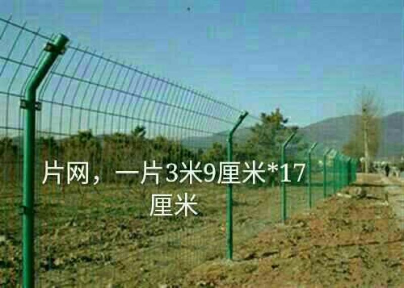 荷兰网50*50mm