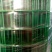 荷兰网50*50mm