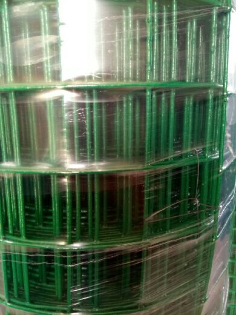 荷兰网50*50mm