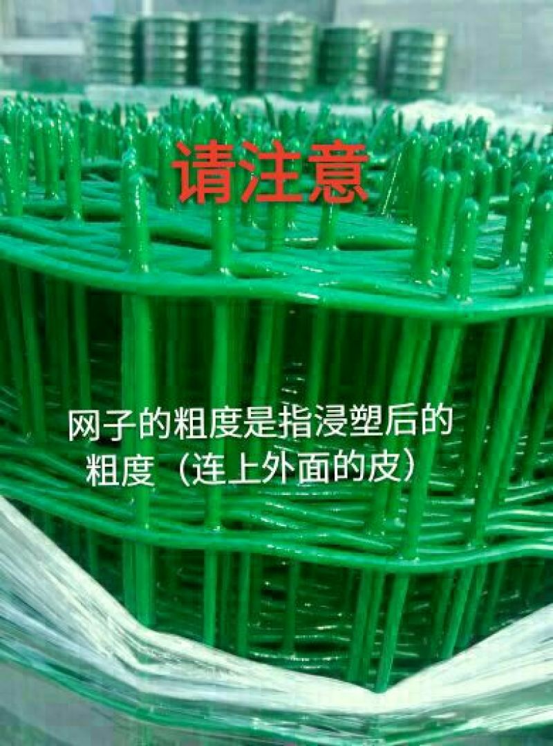 荷兰网50*50mm
