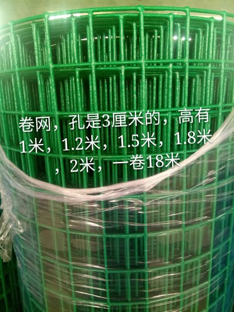 荷兰网50*50mm
