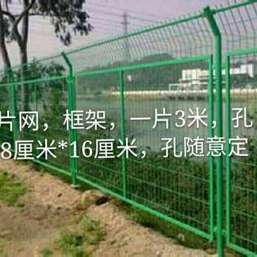 荷兰网50*50mm