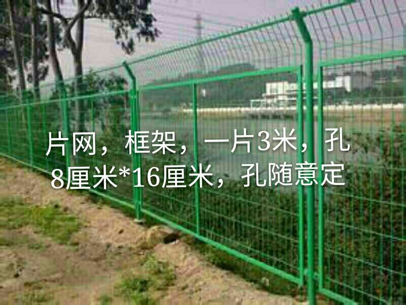 荷兰网50*50mm