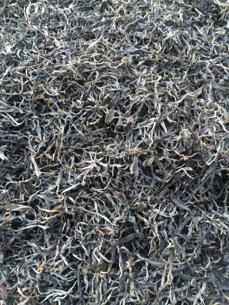 古树普洱茶