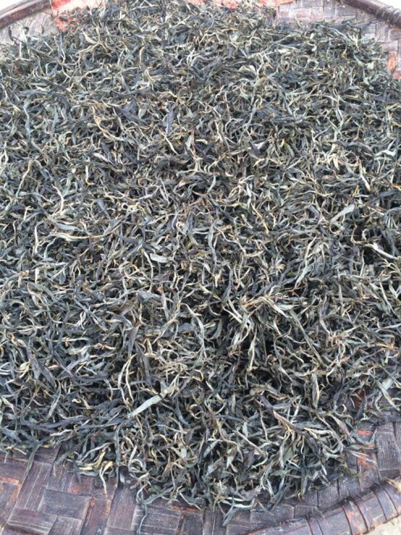 古树普洱茶