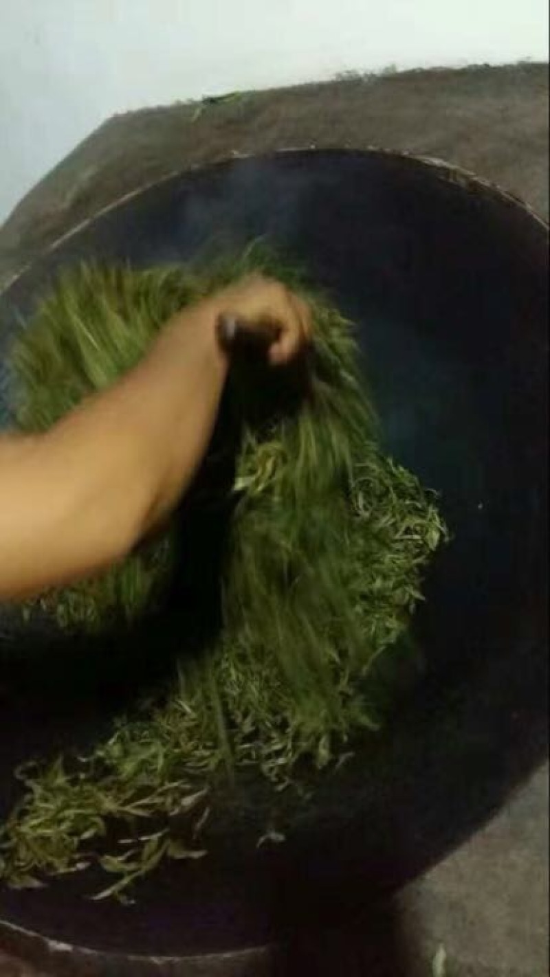 古树普洱茶