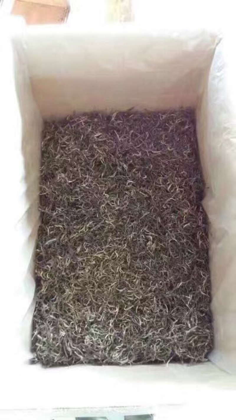 古树普洱茶