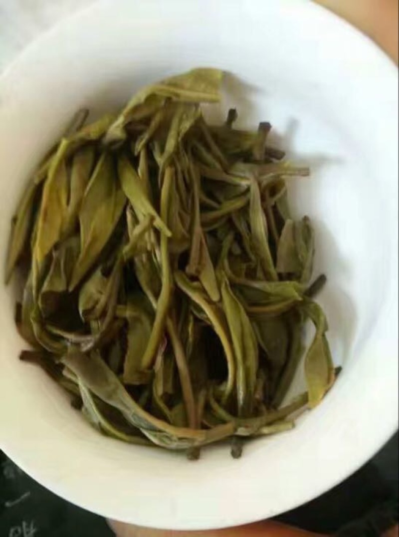 古树普洱茶