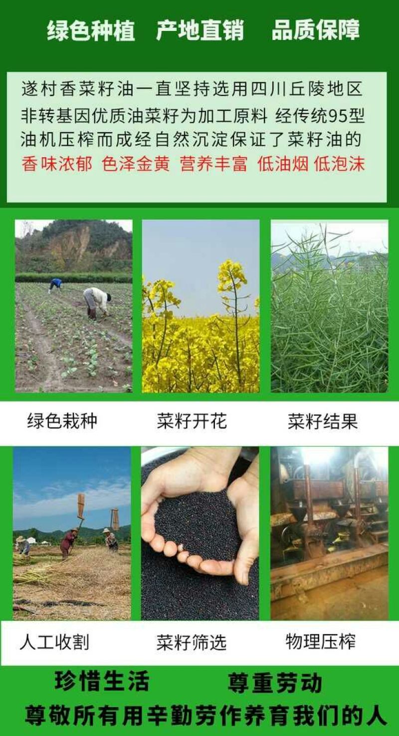 压榨菜籽油一级