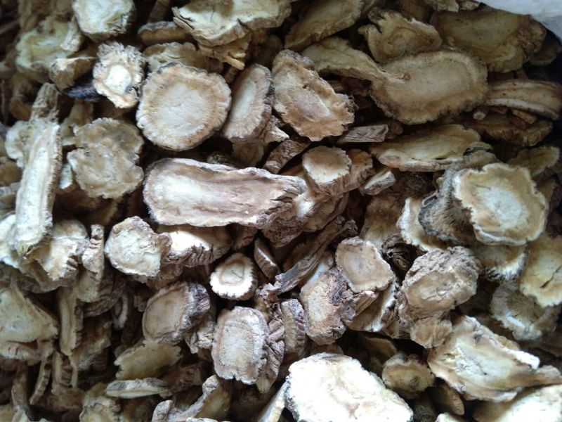 白芷无硫干货散装量大从优产地直销各种规格