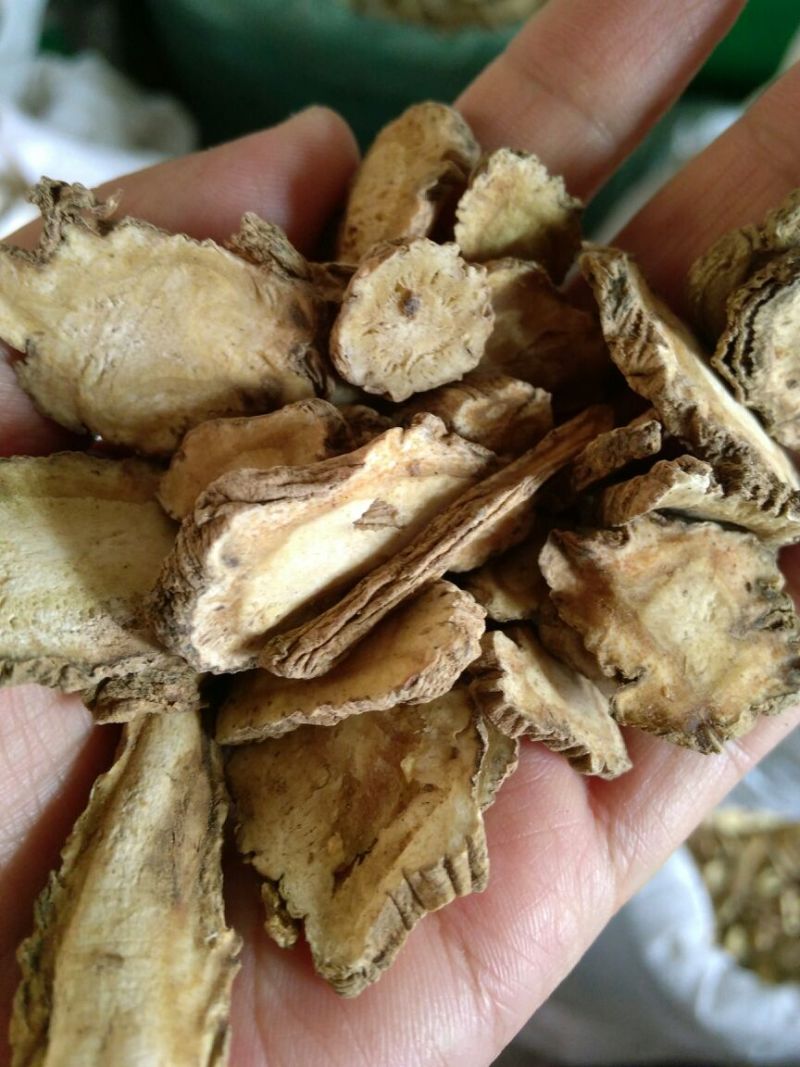 白芷无硫干货散装量大从优产地直销各种规格