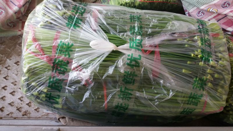 韮苔30cm以上