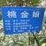 百千层苗