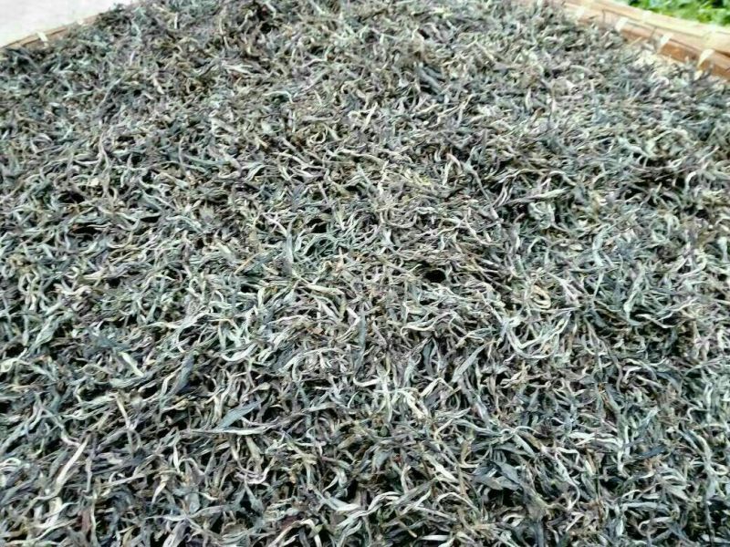 普洱茶三级