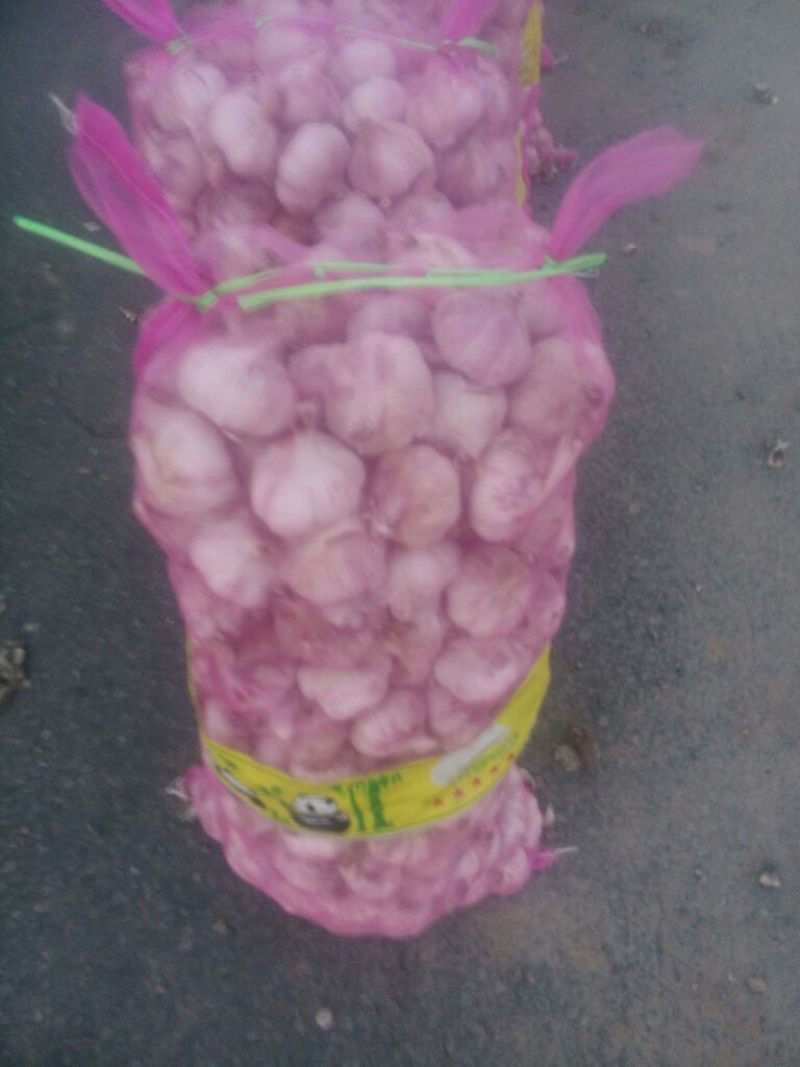 白皮蒜混级统货