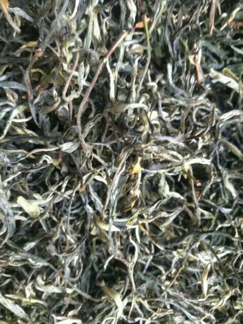 普洱茶二级